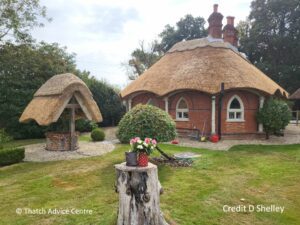 Chocolate Box Thatched cottage - D Shelley 5