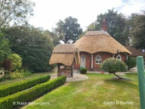 Chocolate Box Thatched cottage - D Shelley 4