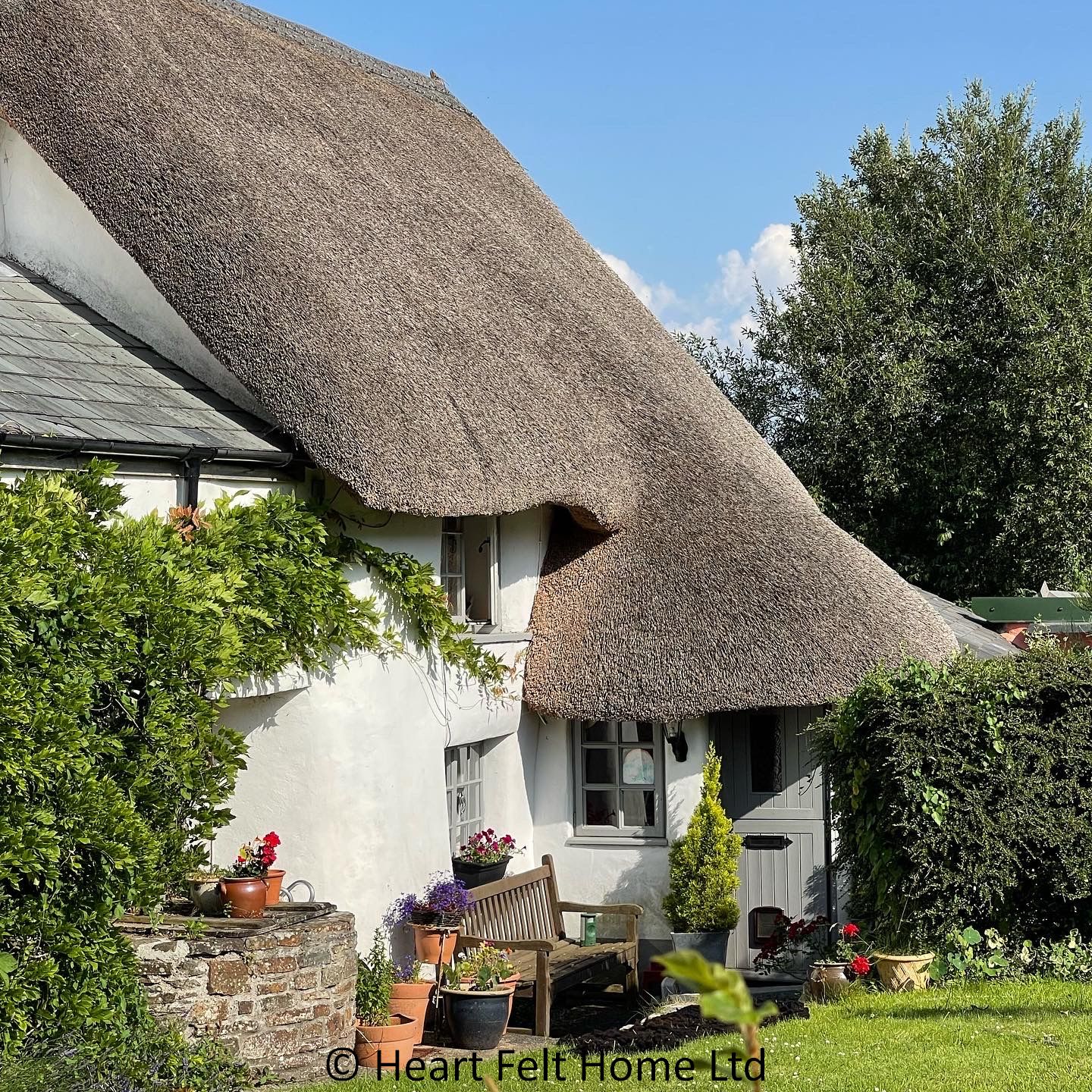 Thatch Advice Centre - Finding your Dream Thatched Cottage - 4