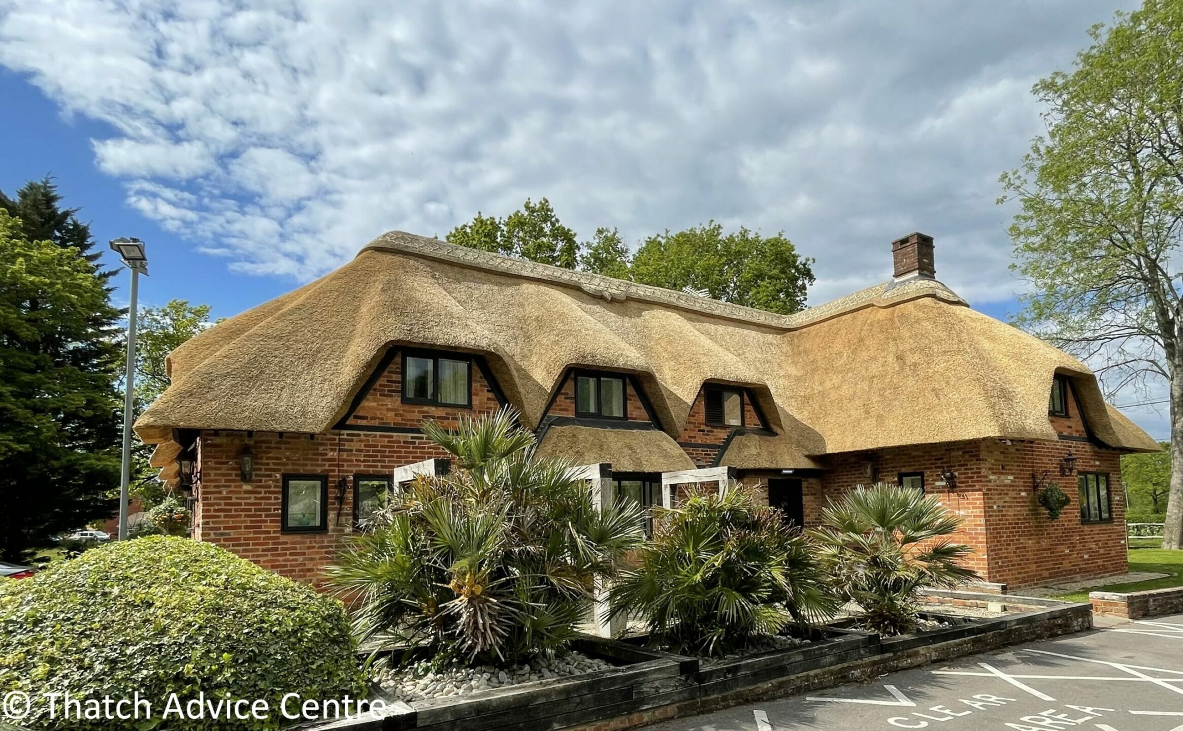 Thatch Advice Centre Thatched Business Picture Competiton - Pilgrim Inn