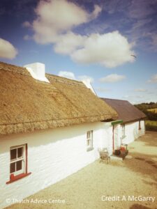 Thatched Business Pic competition - Trohanny Cottage 5