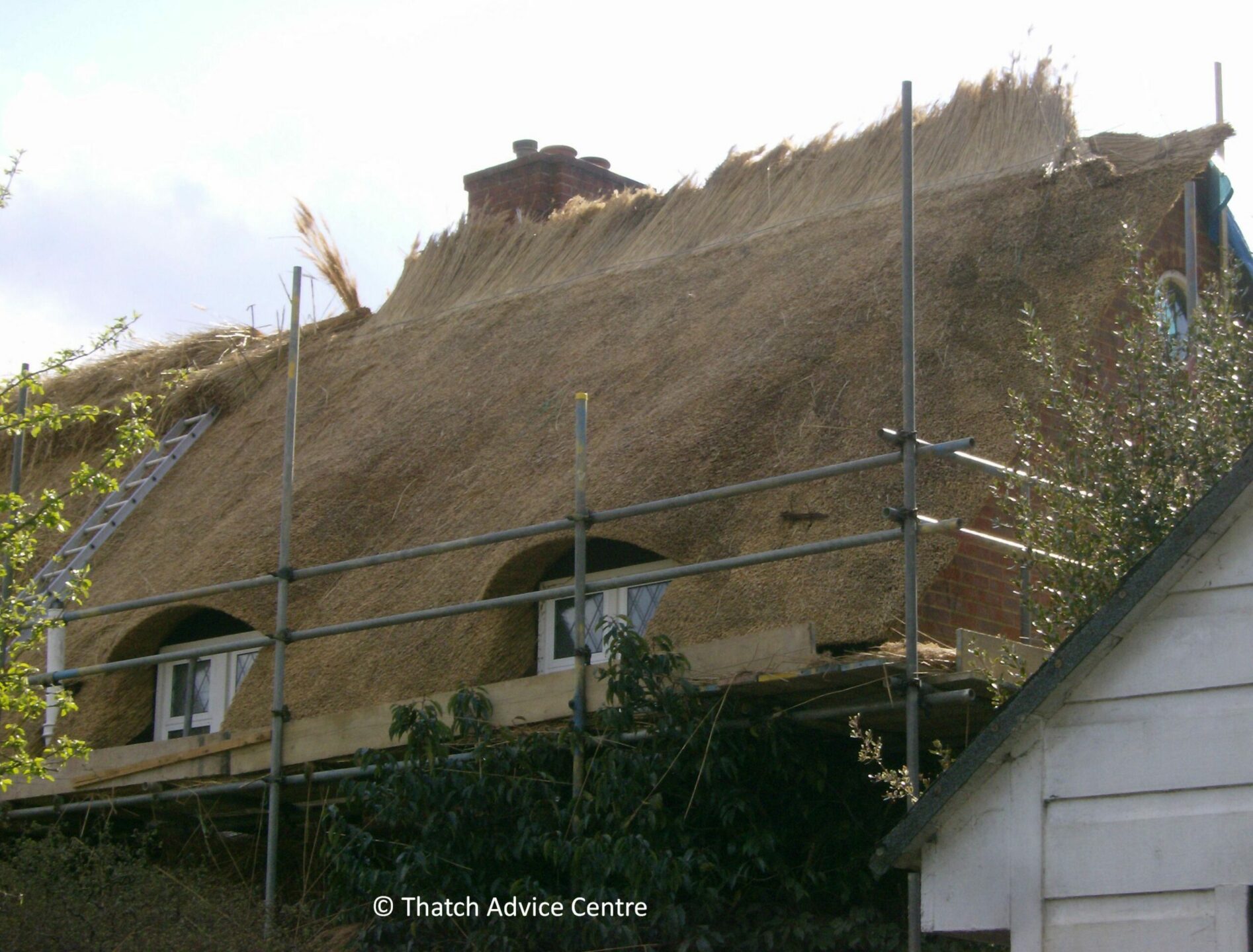Scaffolding Thatched Roofs