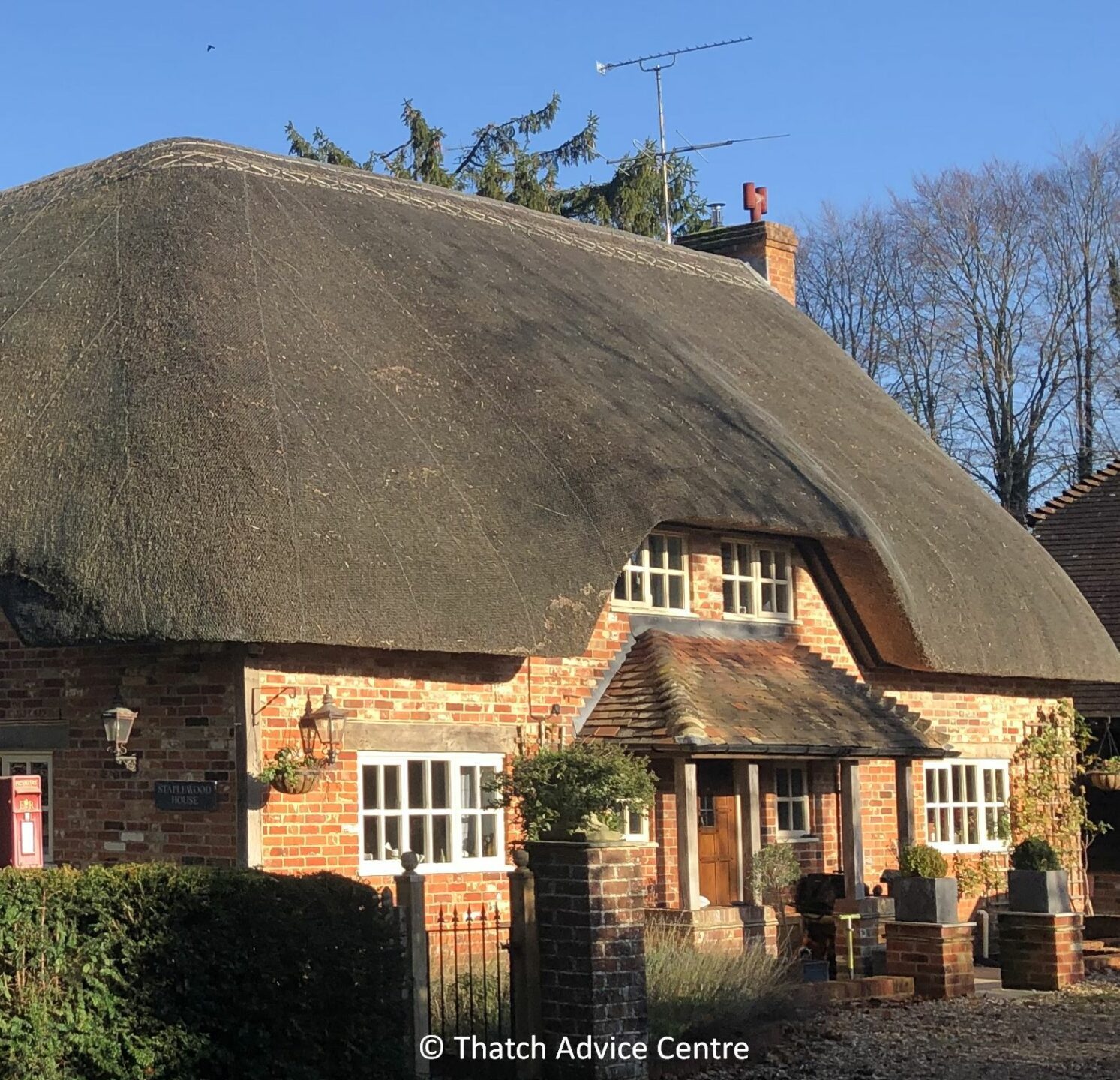 Thatch Advice Centre Newsletter March 23
