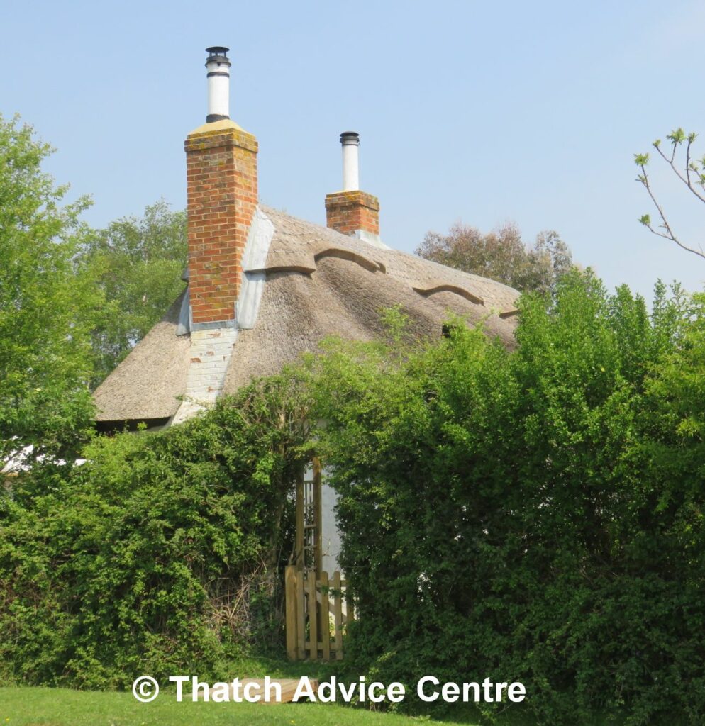 Sweep stuff - thatch and tall chimneys and pots